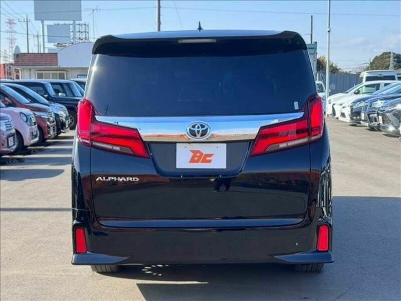 ALPHARD-13