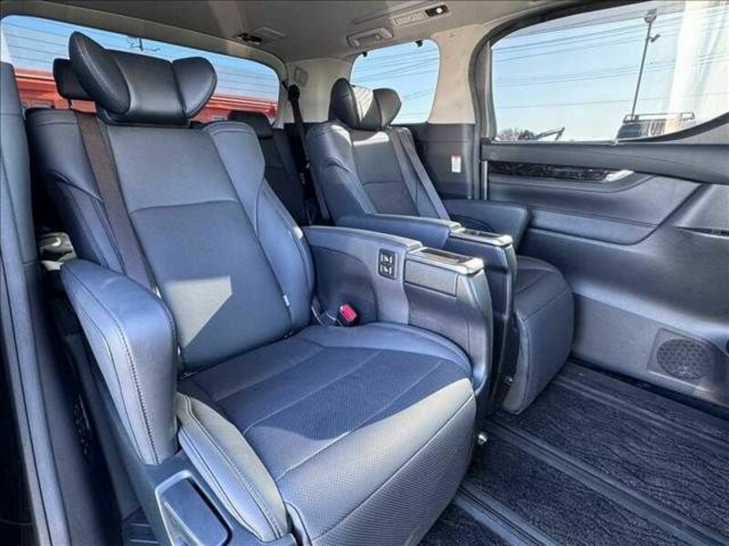ALPHARD-19