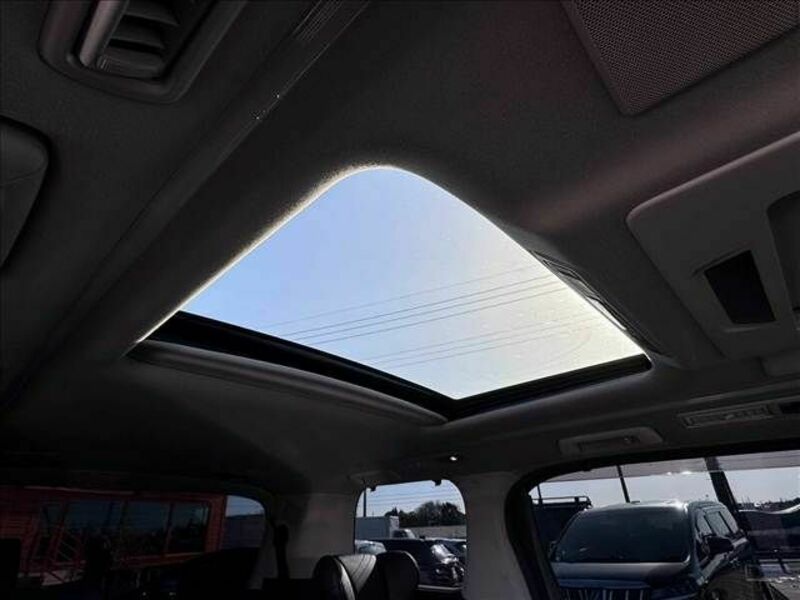 ALPHARD-26