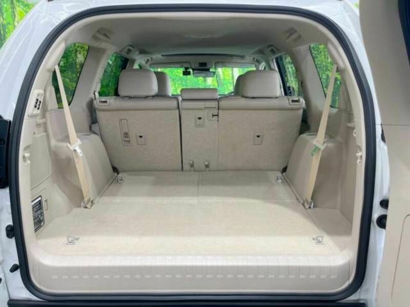 LAND CRUISER PRADO-13