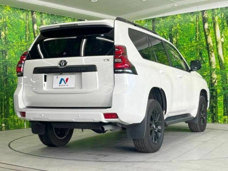 LAND CRUISER PRADO-17