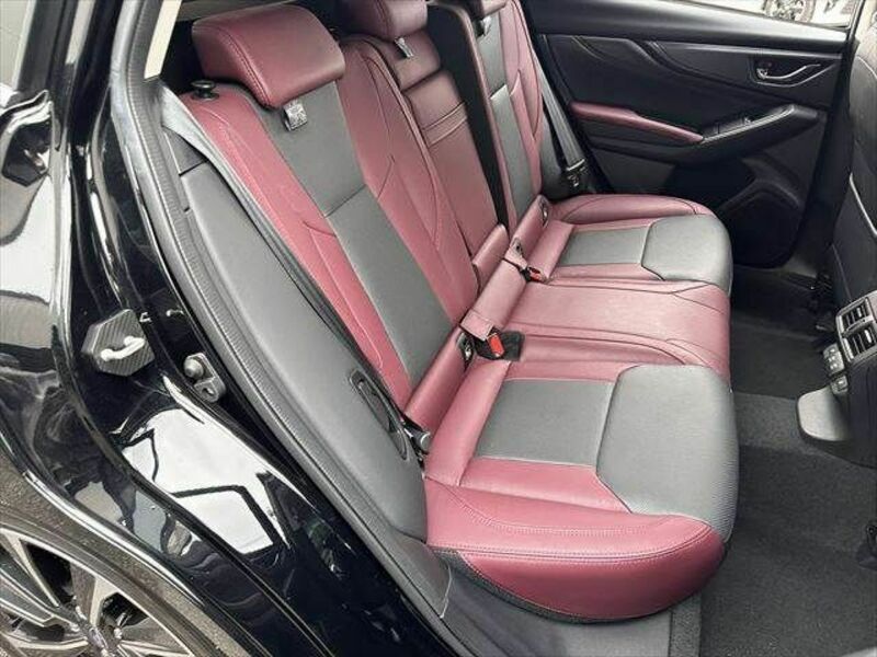 LEVORG-4
