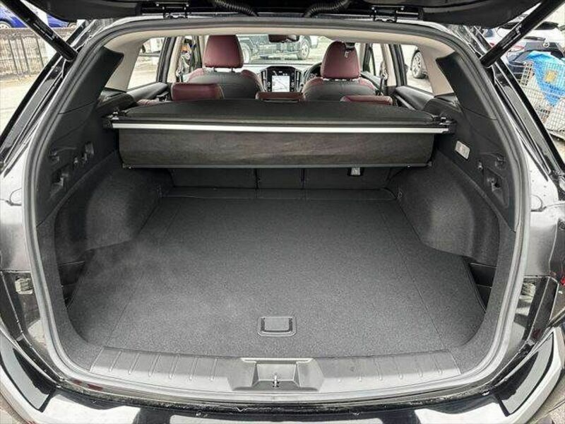 LEVORG-5
