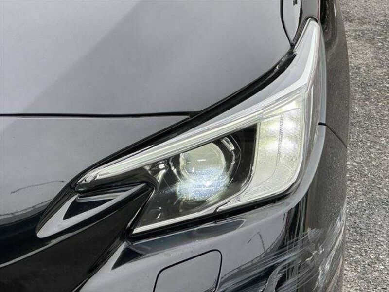 LEVORG-7