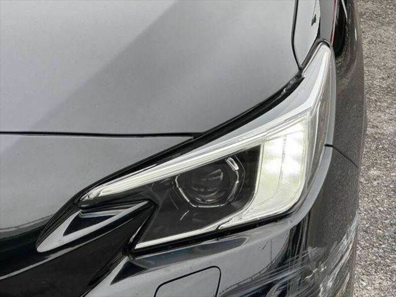 LEVORG-17
