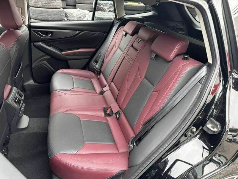 LEVORG-29