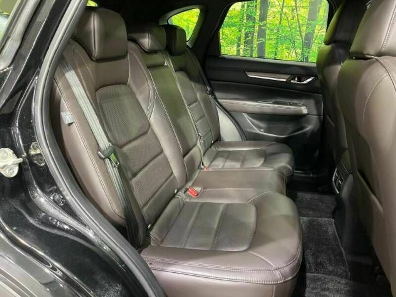 CX-5-8