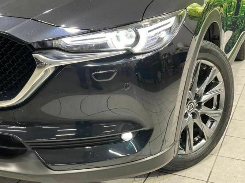 CX-5-11