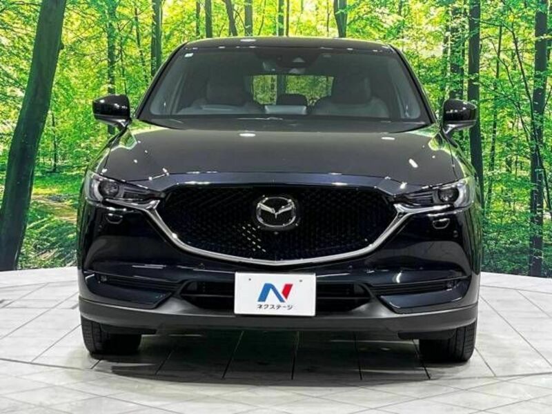 CX-5-13