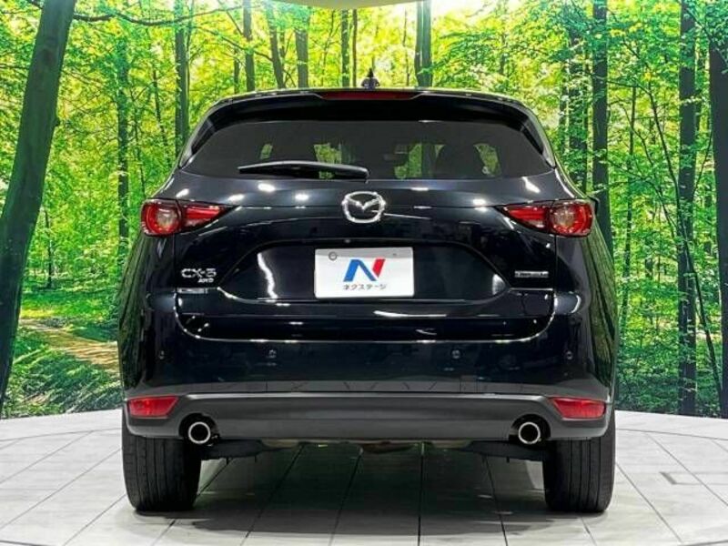 CX-5-14