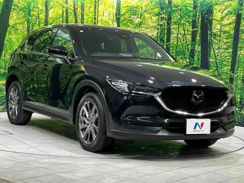 CX-5-15