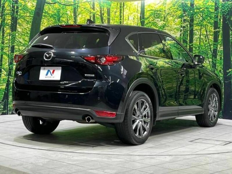 CX-5-16