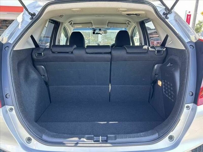 FIT HYBRID-19