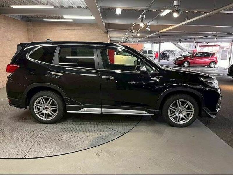 FORESTER