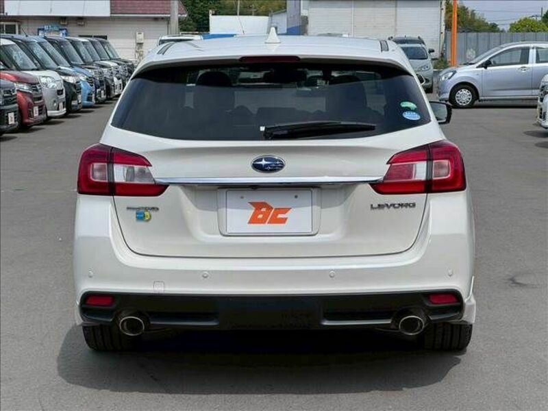 LEVORG