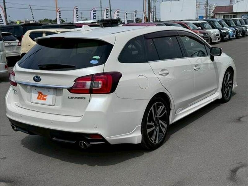 LEVORG