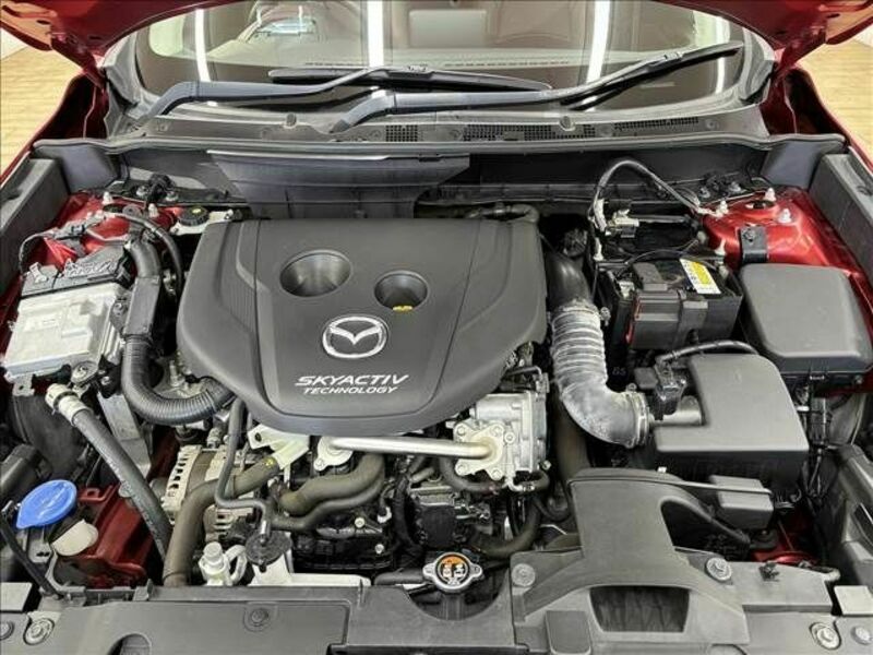 CX-3-17