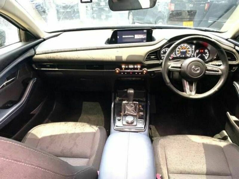 CX-30-1