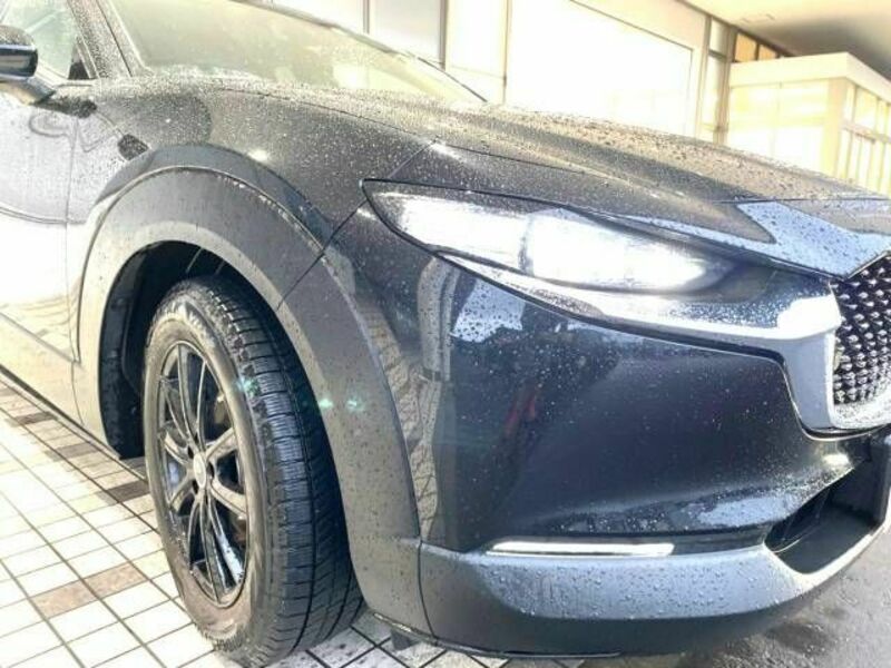 CX-30-4