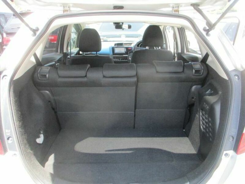 FIT HYBRID-19