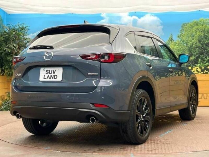 CX-5-16
