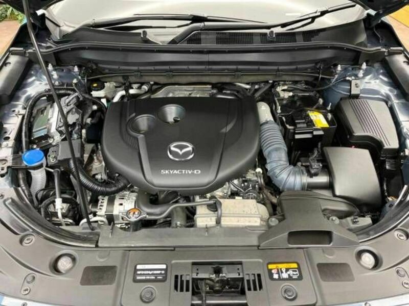 CX-5-17