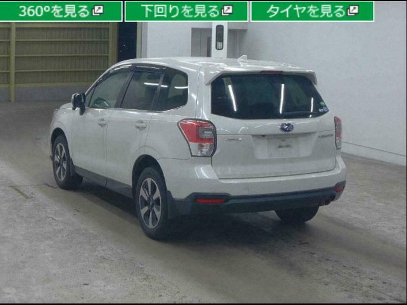 FORESTER-3