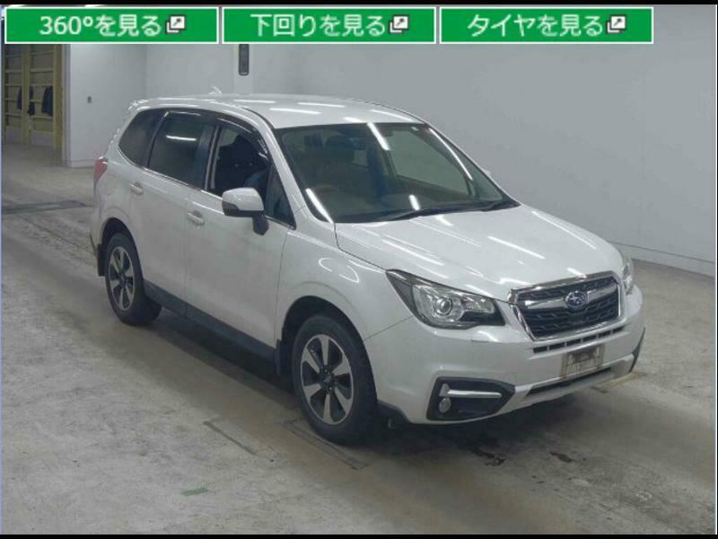 FORESTER-4