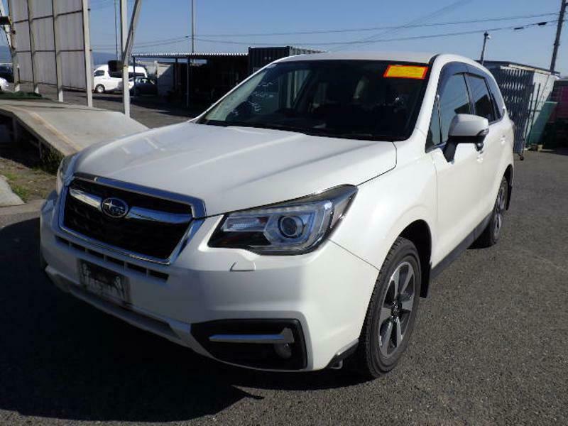 FORESTER-6