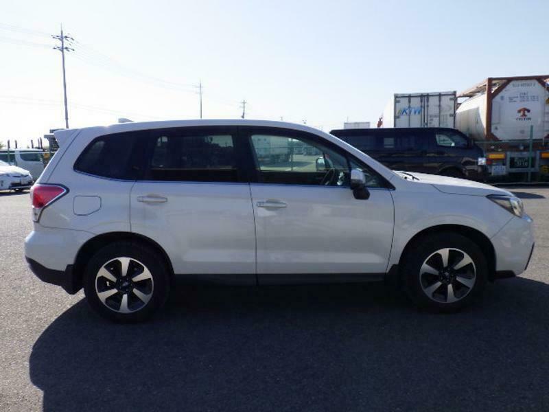FORESTER-7