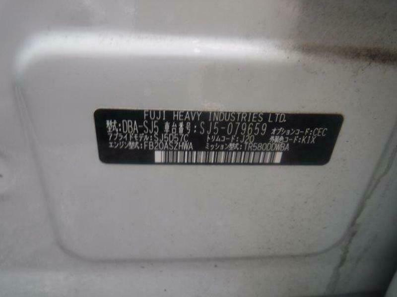 FORESTER-10