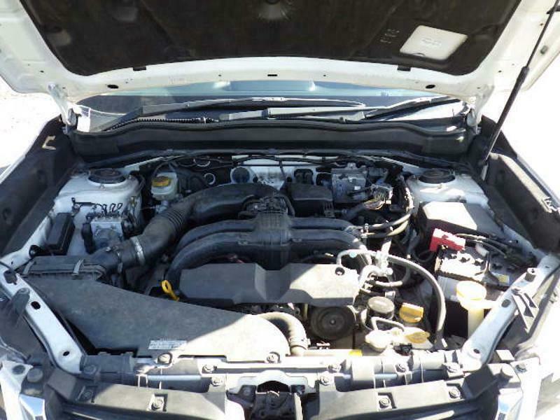 FORESTER-15