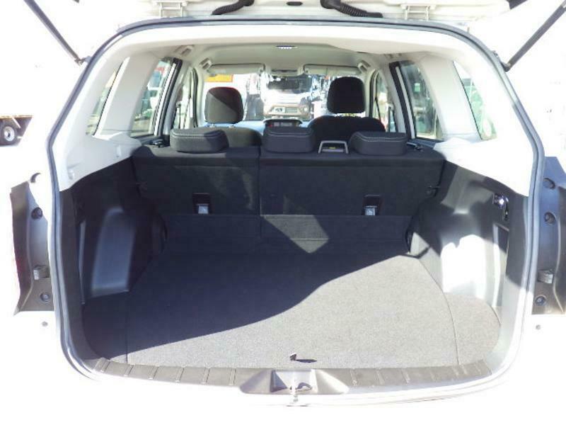 FORESTER-20