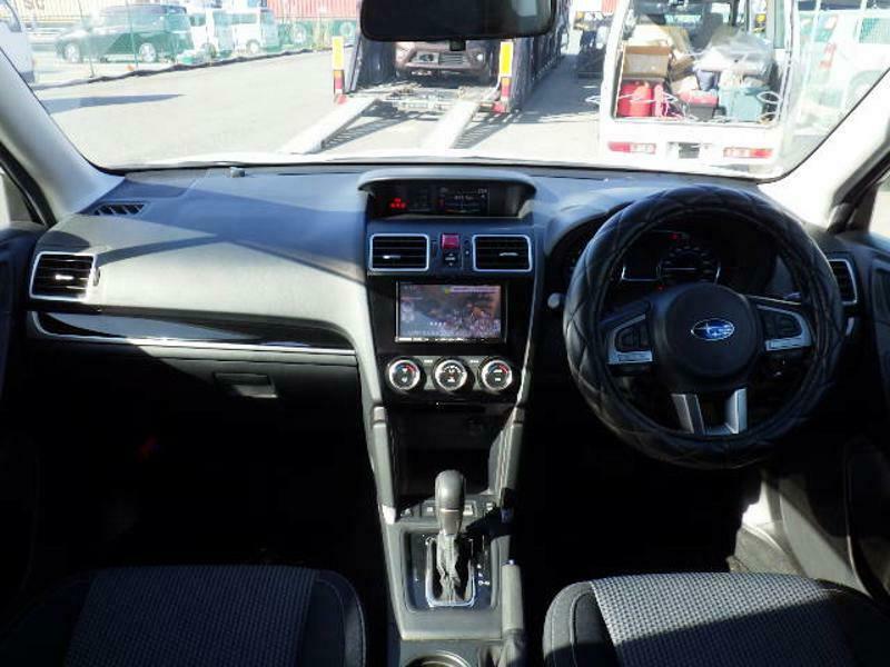 FORESTER-24