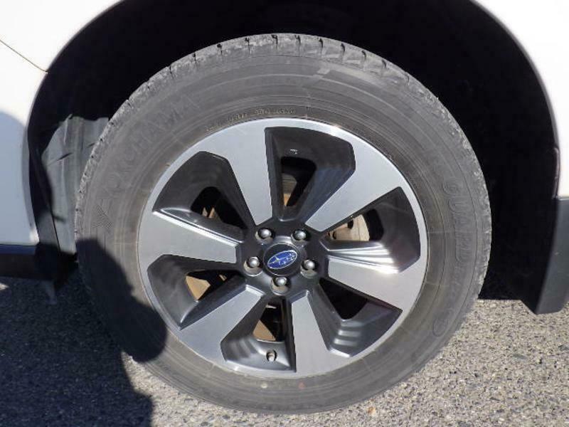 FORESTER-25