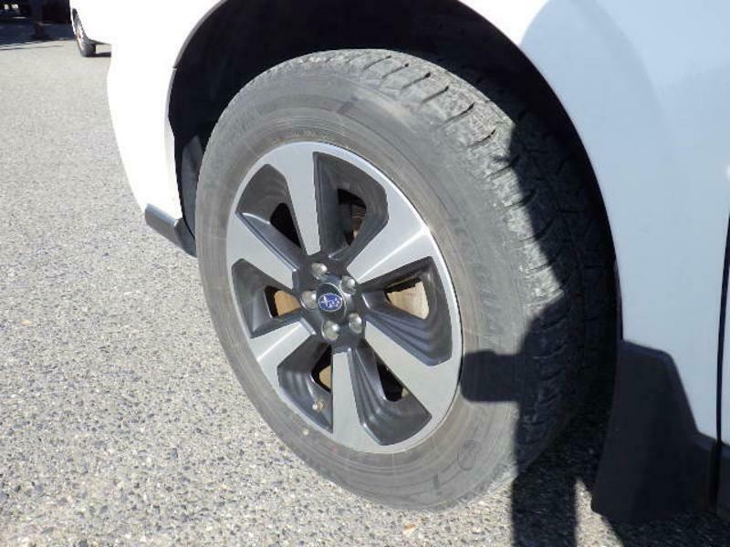 FORESTER-26