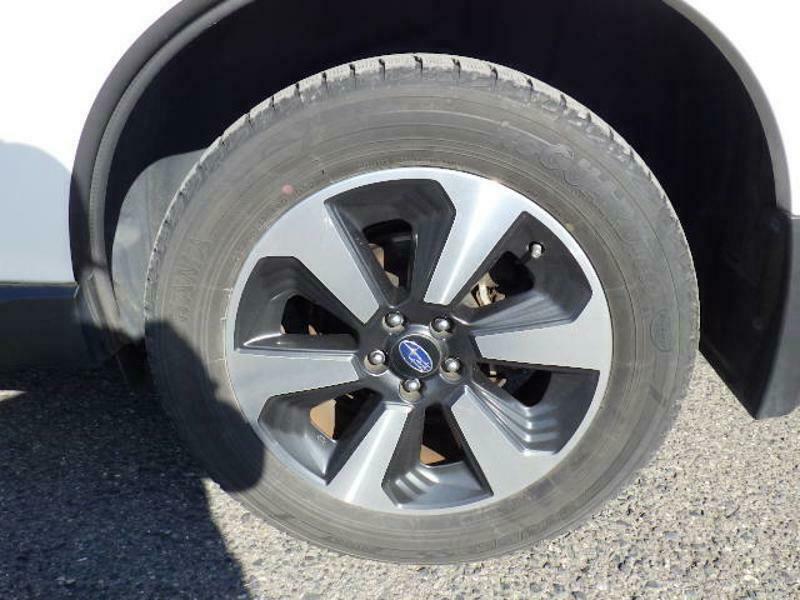 FORESTER-27