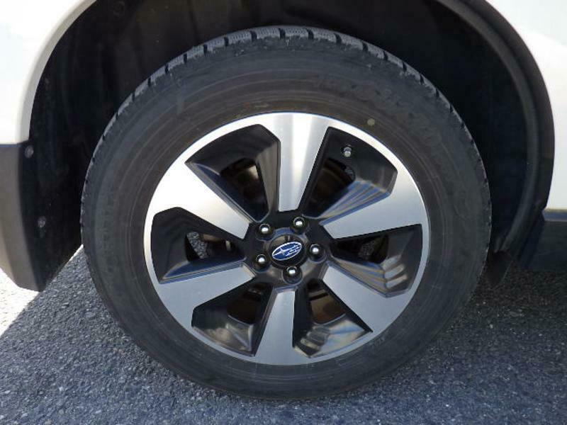 FORESTER-28