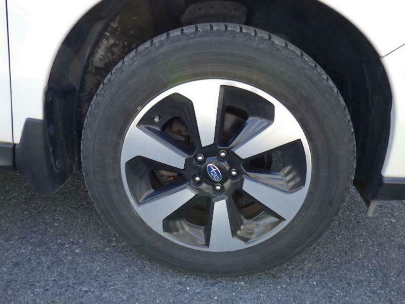 FORESTER-29