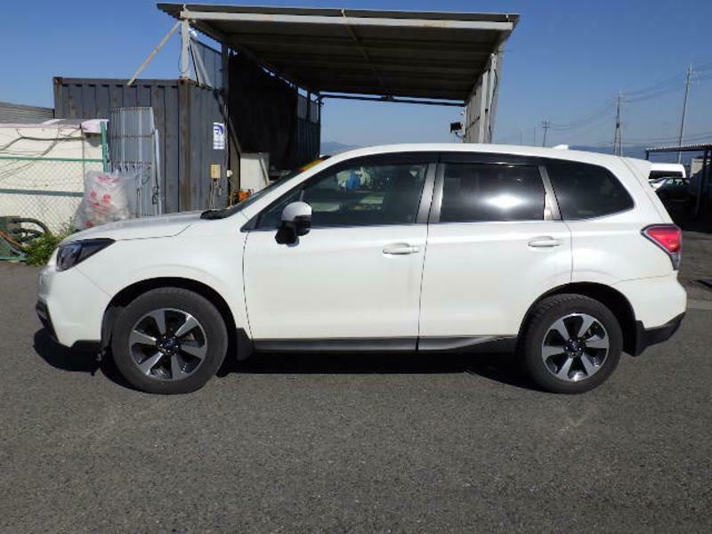 FORESTER-40