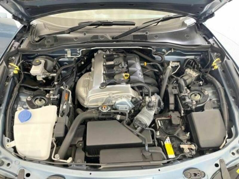 ROADSTER RF