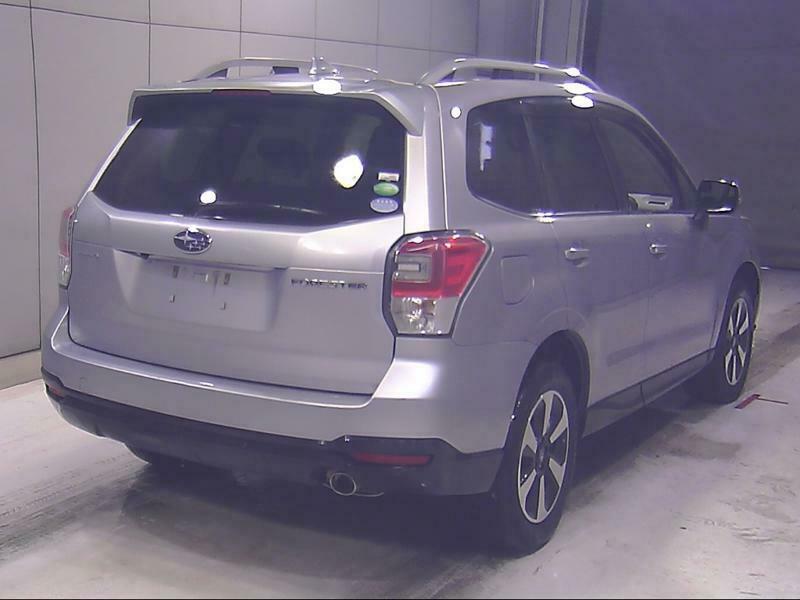 FORESTER-1