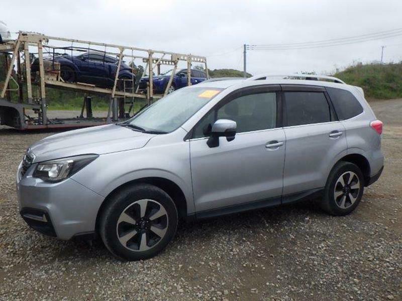 FORESTER-6