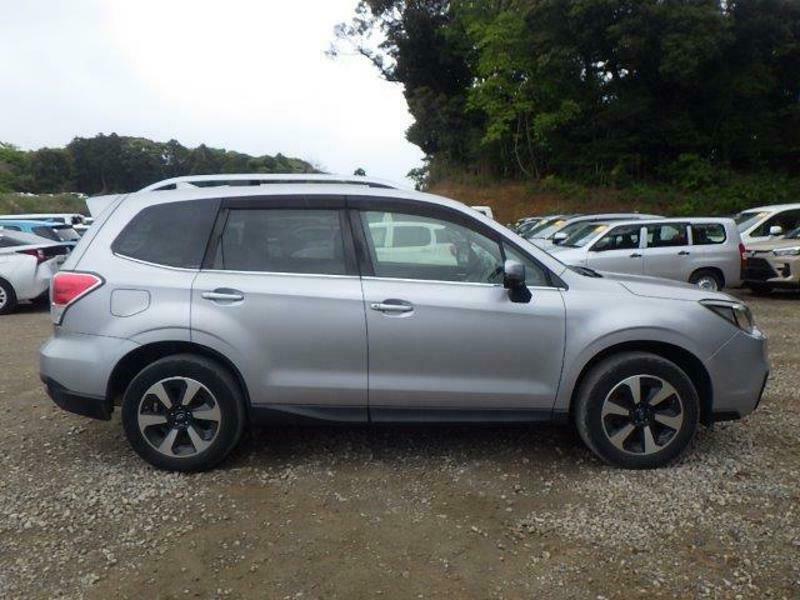 FORESTER-7