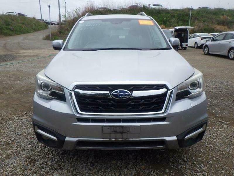 FORESTER-8