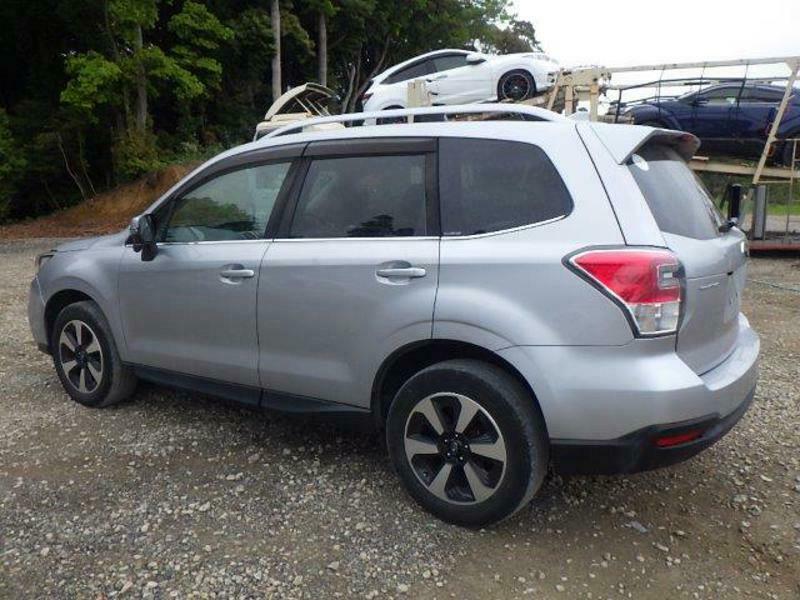 FORESTER-9