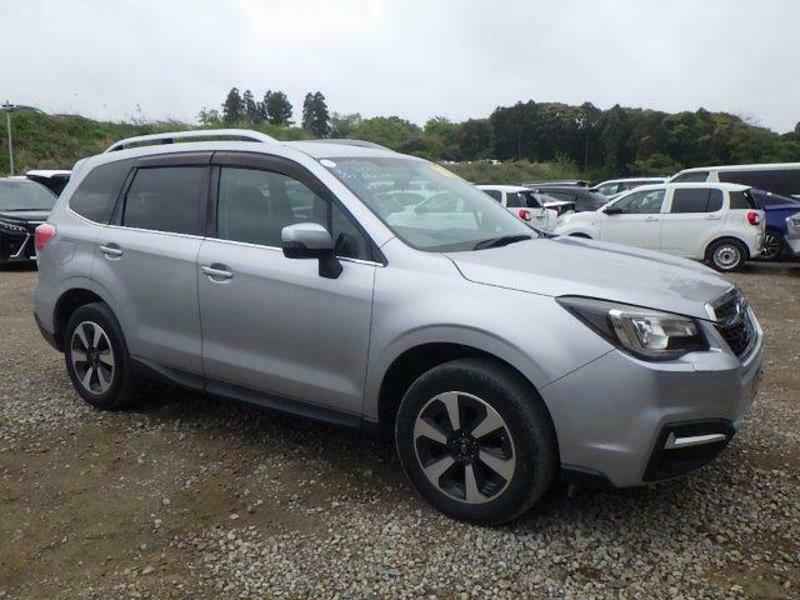 FORESTER