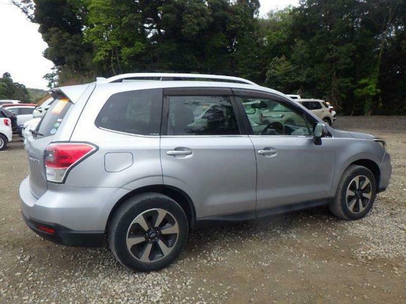 FORESTER-10