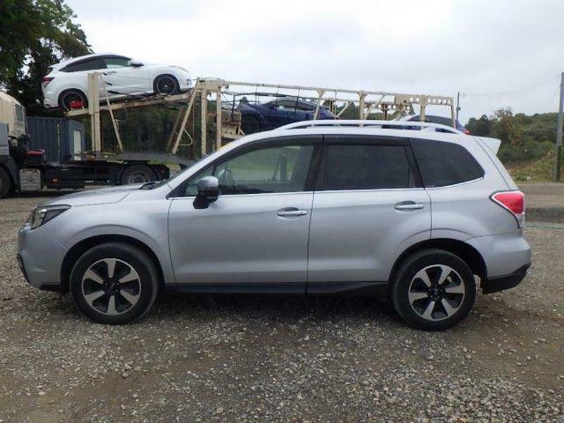 FORESTER-11