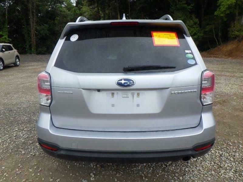 FORESTER-12